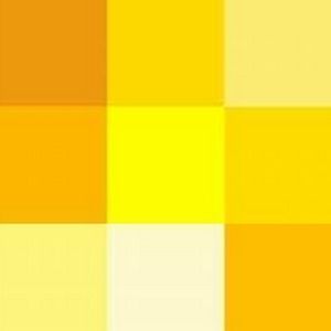 Meet your Posher, Joey